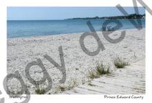 Wellington Boardwalk View #4606