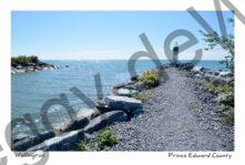 Wellington Channel #3869