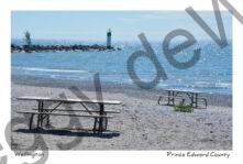 Wellington Picnic Tables #3871