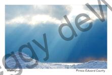 Wellington Sky Rays Winter #3473