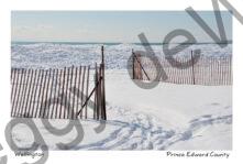 Wellington Snowfence Winter #4349