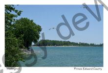 Wellington Waterview #4471