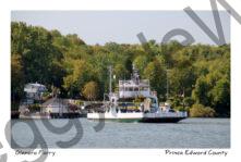 Glenora Ferry Fall Closeup #4731
