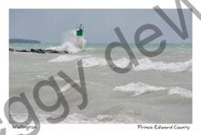 Lighthouse Wellington Huge Splash #473