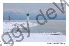 Lighthouse Wellington Quiet Winter #4737