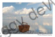 Little Bluff Conservation Basket #4738