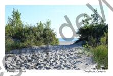 Presquile Beach Path #4774