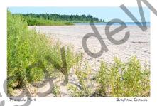 Presquile Beach View #4769