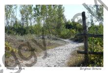 Presquile Path Fence #4773