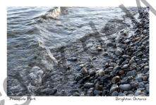 Presquile Pebbles and Wave #4776