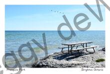 Presquile Shore 5 Birds #4777