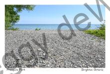 Presquile Small Pebbles #4744