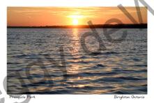 Presquile Sunset #4779