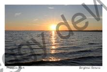 Presquile Sunset Burst #4780