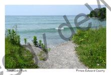 Sandbanks Path Lake Ontario #4746