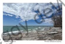 Sandbanks West Pt Spring #4750