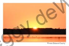 Sky Sunrise 2 Swans #4752