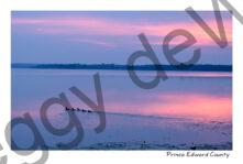 Sky Sunrise 5 Ducks #4753