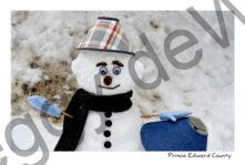 Snowman Lamp Shades #4785