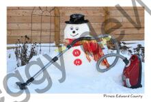 Snowman Vacuum Cleaner #4789