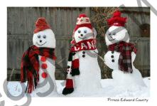 Snowmen 3 Canadians #4791