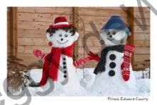Snowmen Earrings #4799
