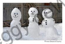 Snowmen No Clothes #4797