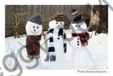 Snowmen Three Smiling #4805