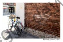 Bike Picton #4830