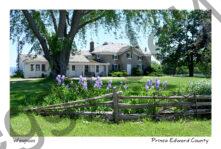 Cider Co House #4823