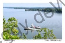 Glenora Ferry Springtime #4810