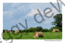 Hay Bales and Sky #4846