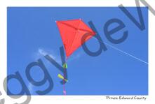 Kite Red #4848