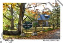 Log Cabin Fall #4814