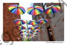 Picton Umbrellas #4850