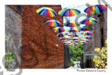 Picton Umbrellas  Walkway #4849