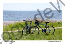 Presquile Bikes #4815