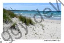 Sandbanks Outlet Sandy Hill #4828