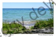 Sandbanks Shore Aqua #4829