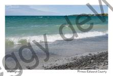 Wellington Beach View #4832