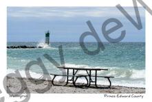 Wellington Picnic Table Windy #4834